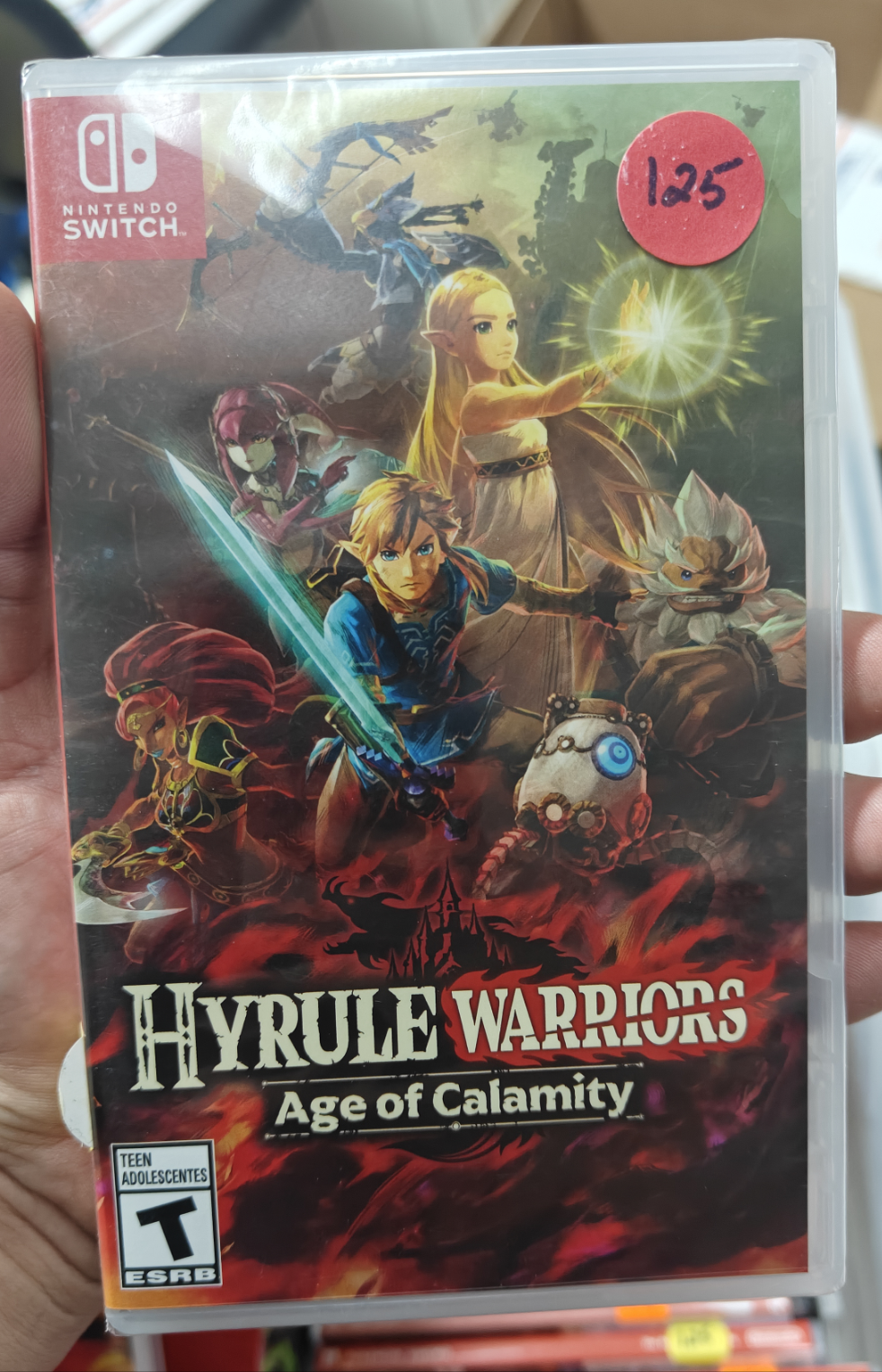 Hyrule Warriors: Age of Calamity