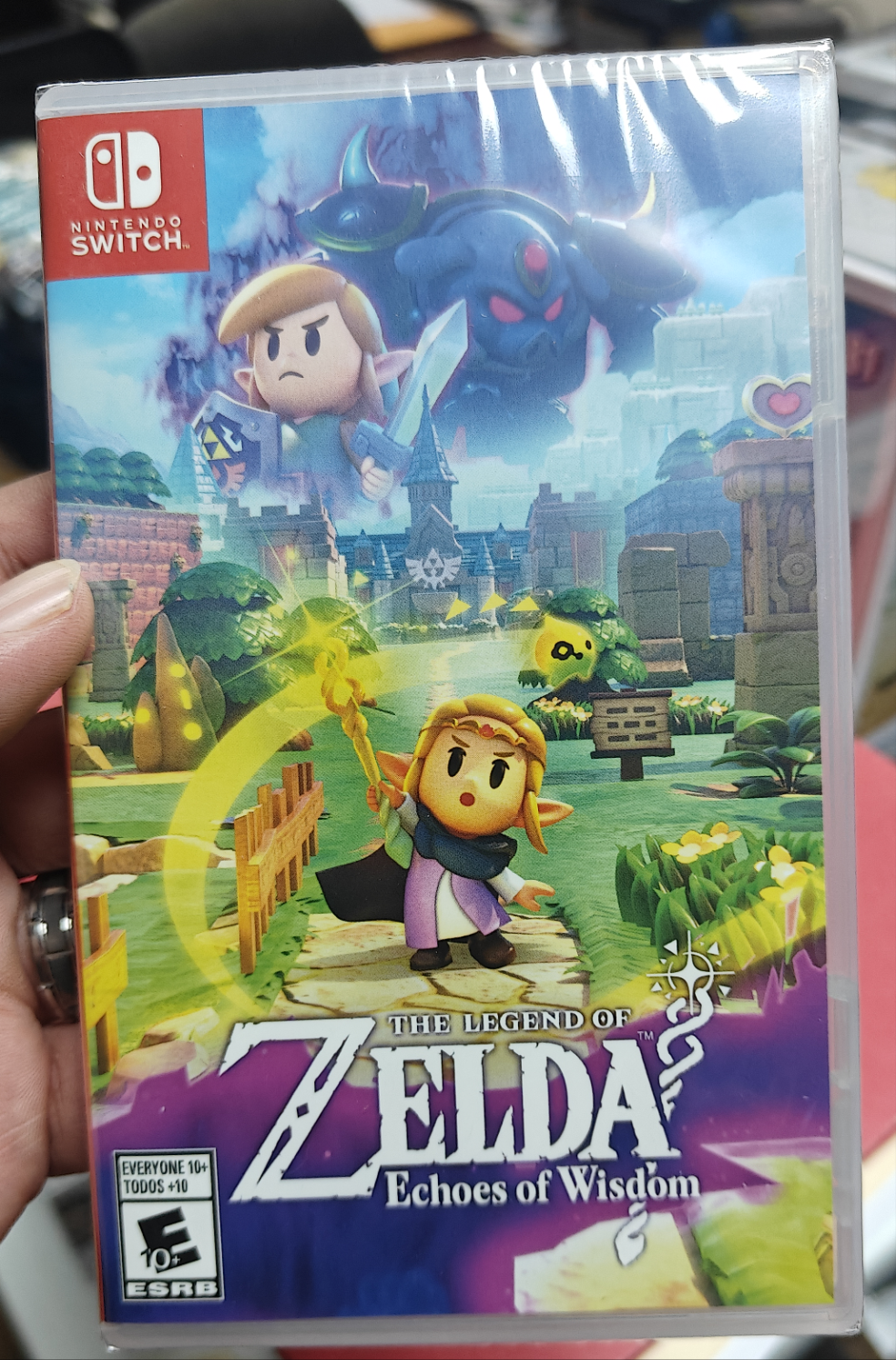 The Legend of Zelda: Echoes of Wisdom