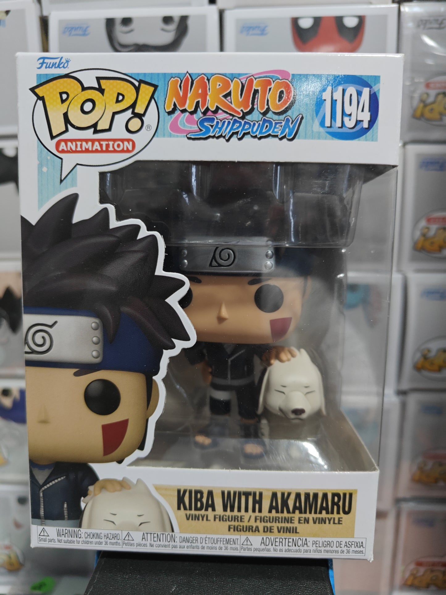 Kiba with Akamaru