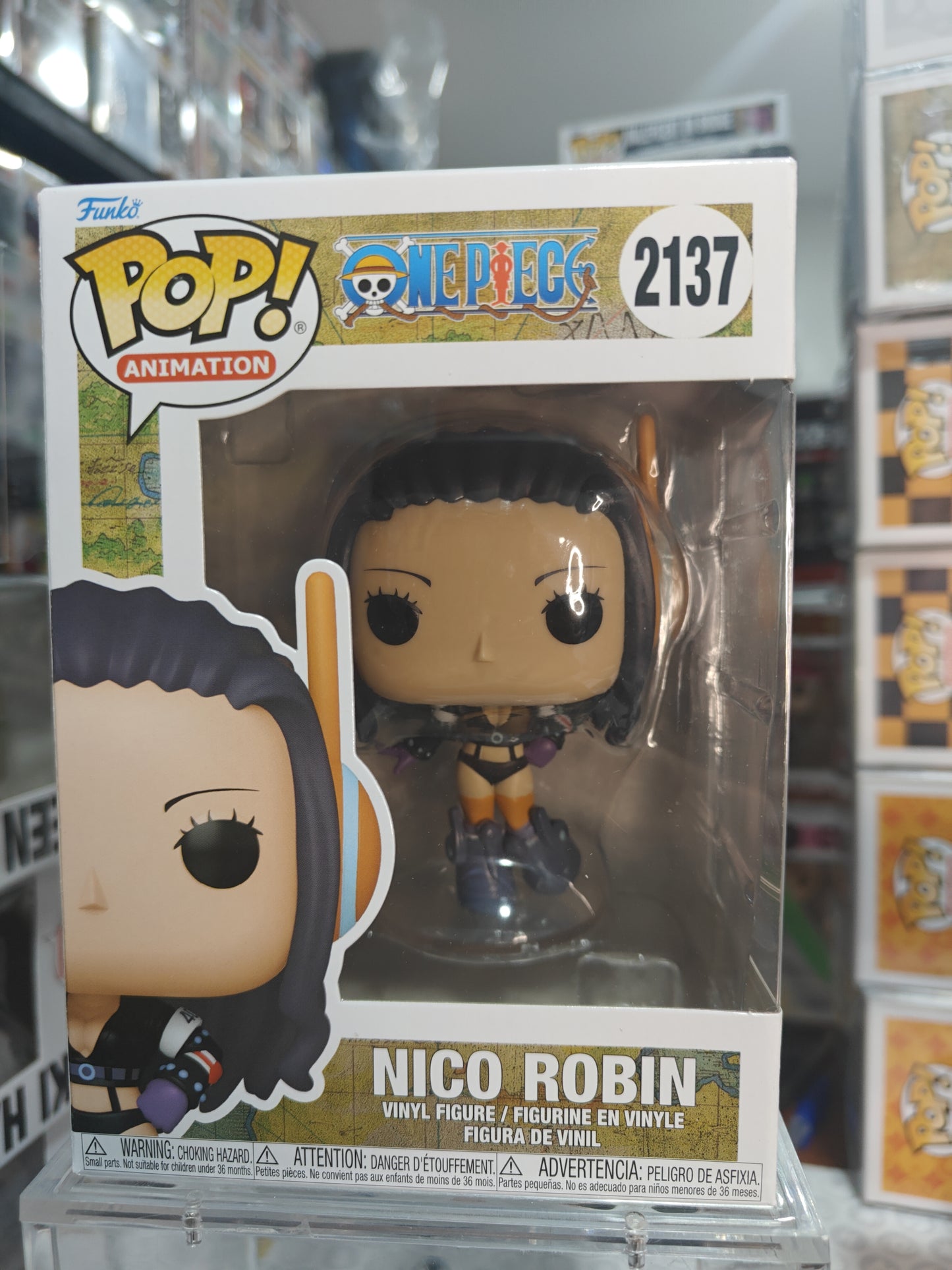 Nico Robin 2137