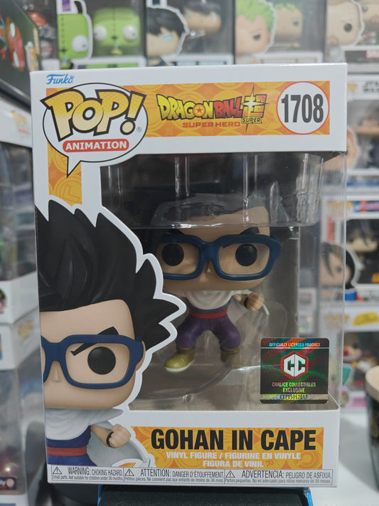Gohan in Cape 1708