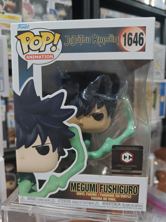 Megumi Fushigiro 1646